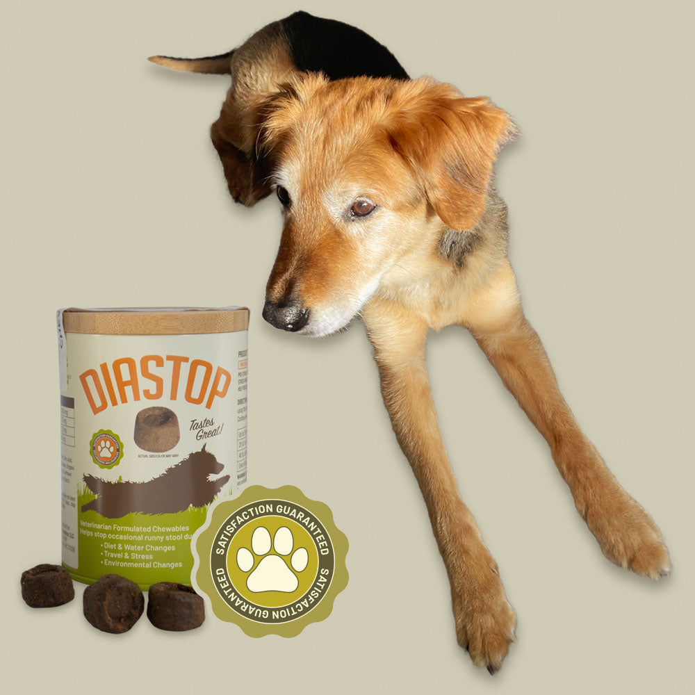 Diastop